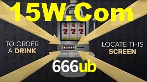 Premium Interface 666ub